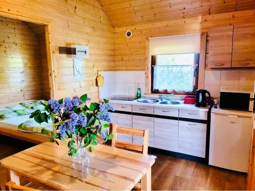 Domki Letniskowe Wiktoria Jezierzany Bagian luar foto